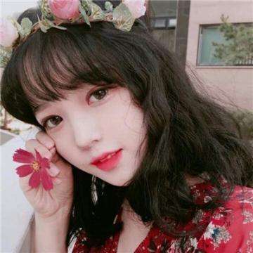 半岛官方体育网页登录截图