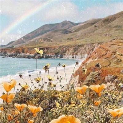 Welcome彩票中心注册大厅进入app下载