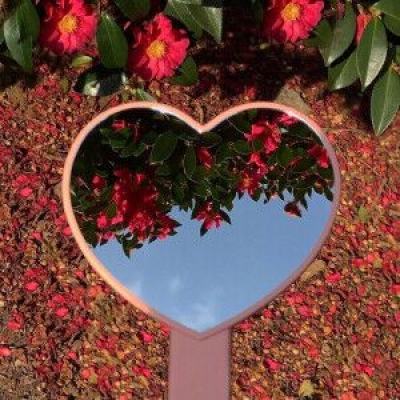 开元棋脾手机app下载