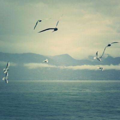 海星体育app下载