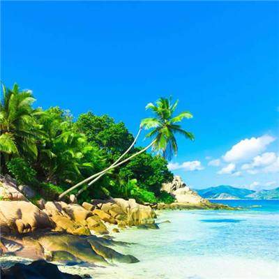 365在线手机app下载